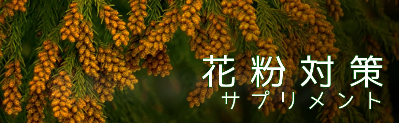 花粉症特集
